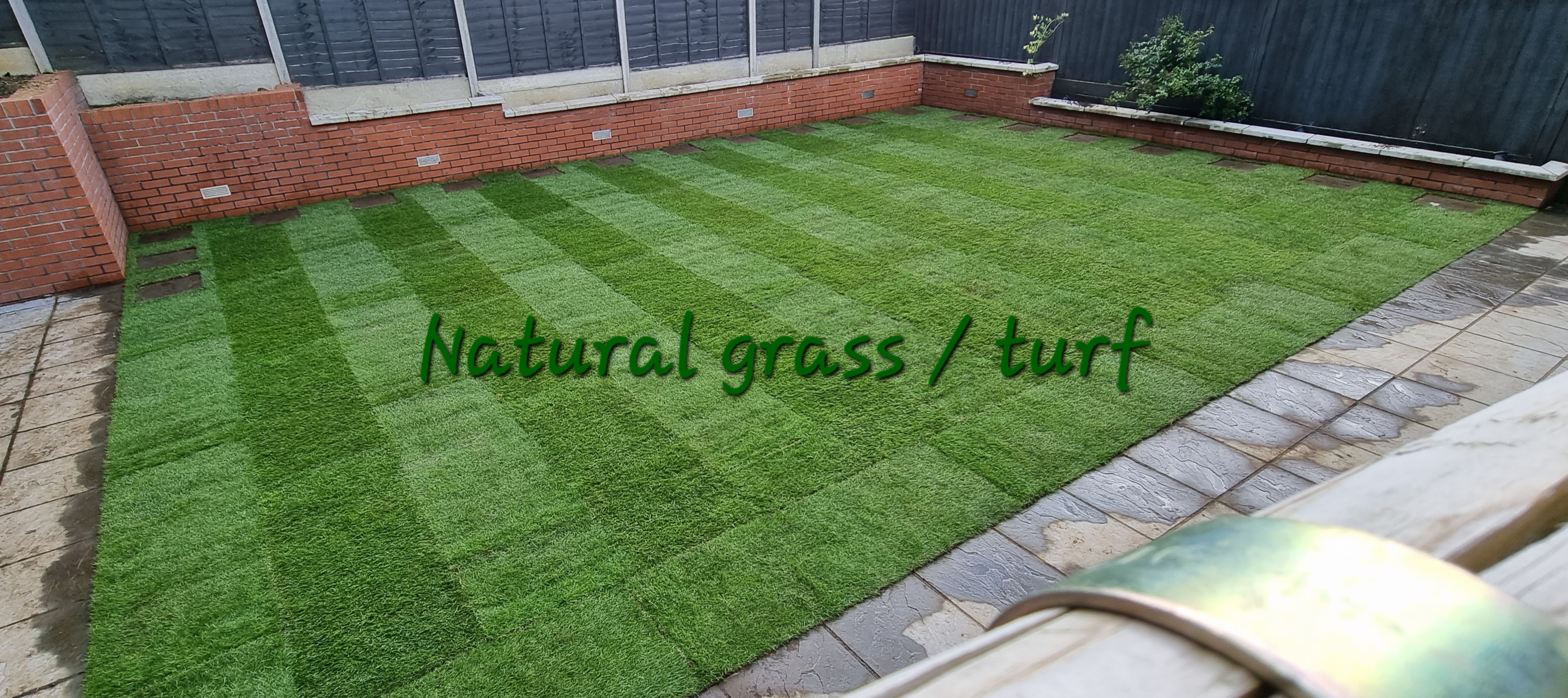 natural grass